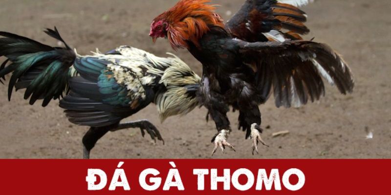 da-ga-thomo