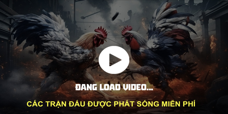 phat-song-mien-phi